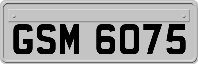 GSM6075