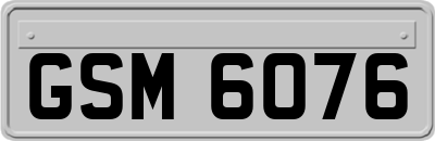 GSM6076