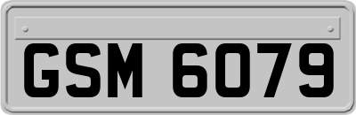 GSM6079