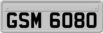 GSM6080