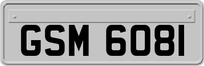 GSM6081