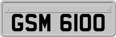 GSM6100