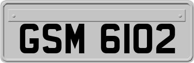 GSM6102