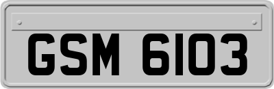 GSM6103