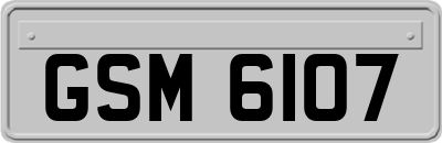 GSM6107