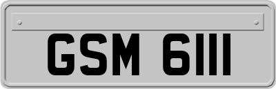 GSM6111