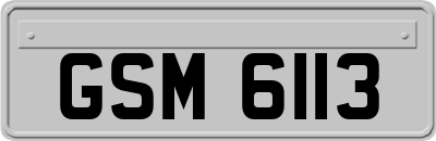 GSM6113