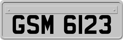 GSM6123