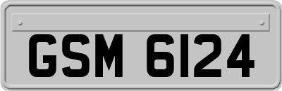 GSM6124