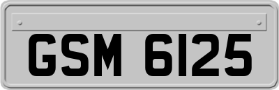 GSM6125