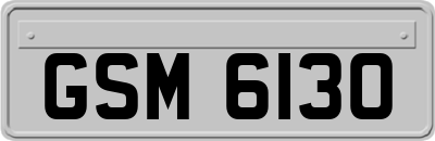 GSM6130