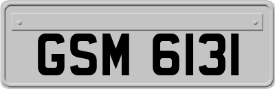 GSM6131