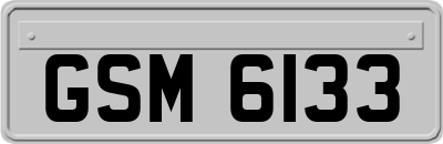 GSM6133