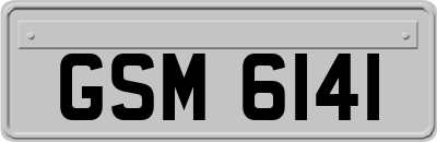 GSM6141