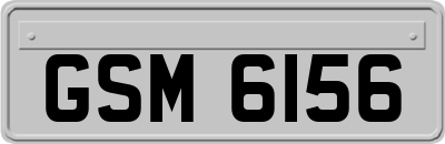 GSM6156