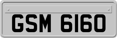 GSM6160