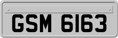 GSM6163