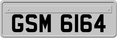 GSM6164