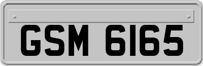 GSM6165