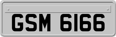 GSM6166
