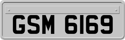 GSM6169