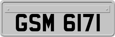 GSM6171