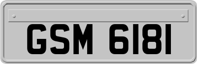 GSM6181