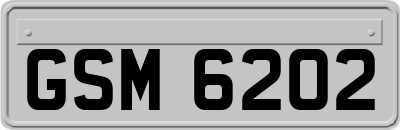 GSM6202