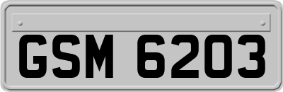 GSM6203