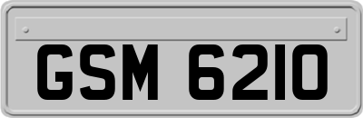 GSM6210