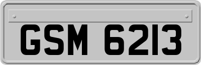 GSM6213