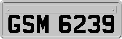 GSM6239