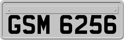 GSM6256