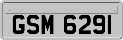 GSM6291
