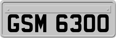 GSM6300