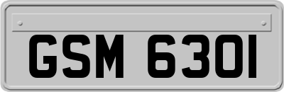 GSM6301