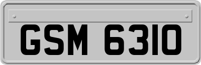 GSM6310