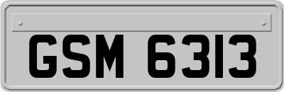 GSM6313