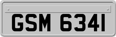 GSM6341