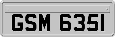 GSM6351