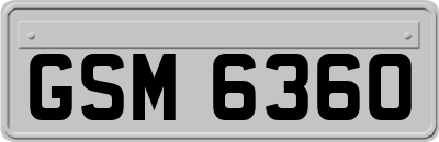GSM6360