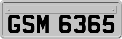 GSM6365