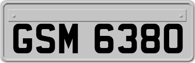 GSM6380