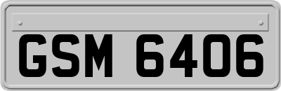 GSM6406