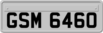 GSM6460