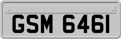 GSM6461