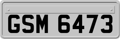 GSM6473