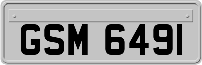 GSM6491