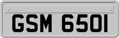 GSM6501