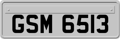 GSM6513